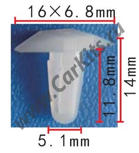 Изображение C65